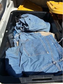 Jeans and pants