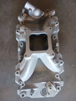Holly Strip Dominator