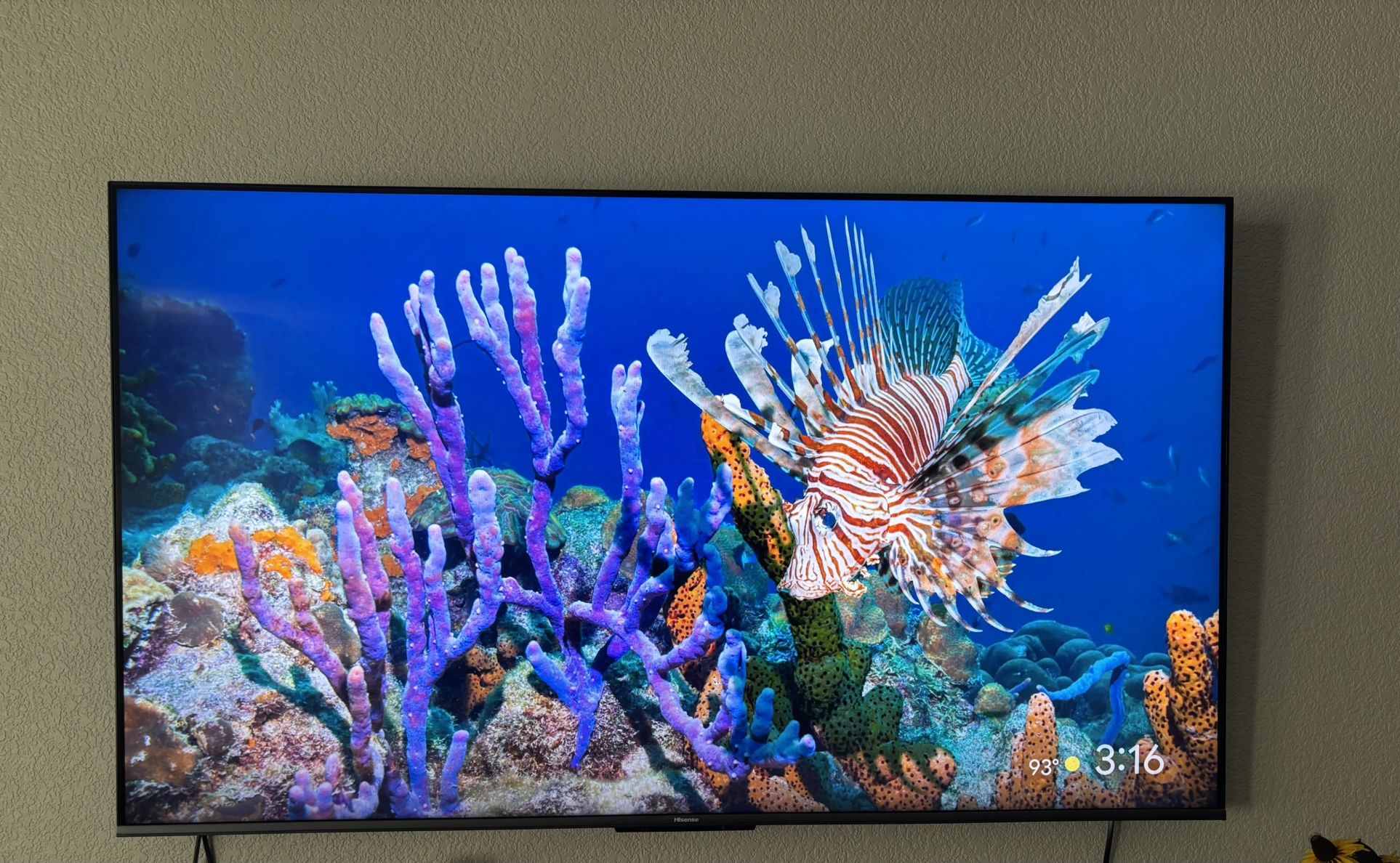 Hisense Tv