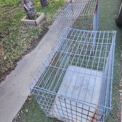 Jaula Para gallo ( Pet Case.)