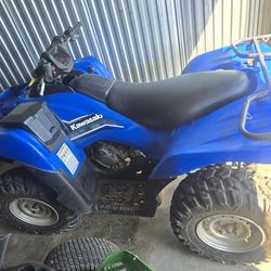 Kawasaki Brute Force 750