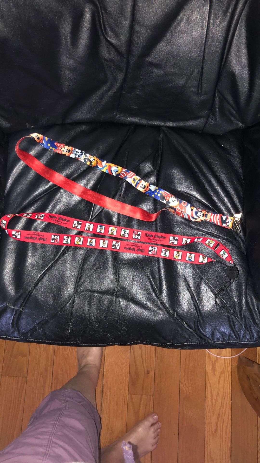 Disney lanyards