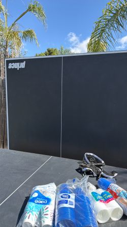Ping pong table