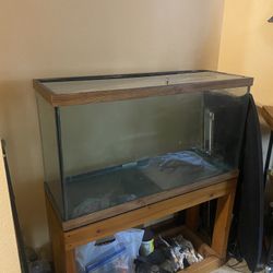 Fish Tank & Stand 