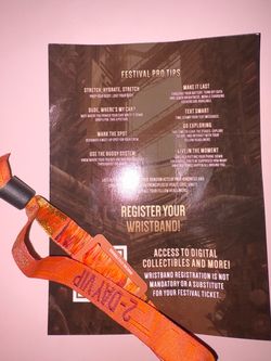 Wasteland 2 Day VIP Wristband
