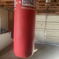 Everlast Punching Bag