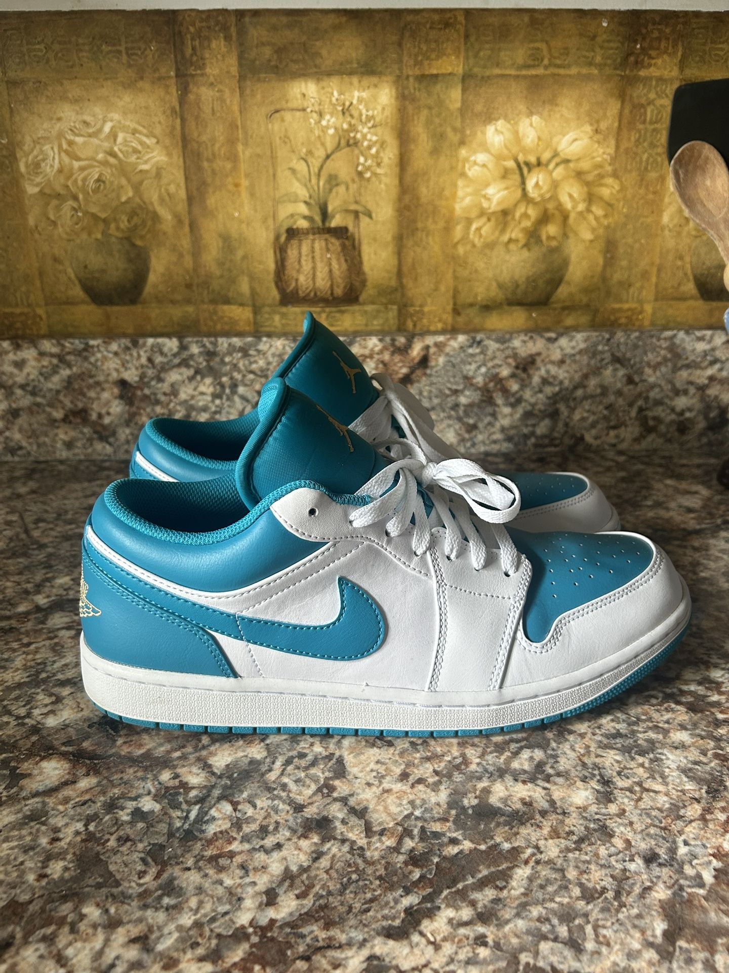 Size 11 Jordan 1 Lows