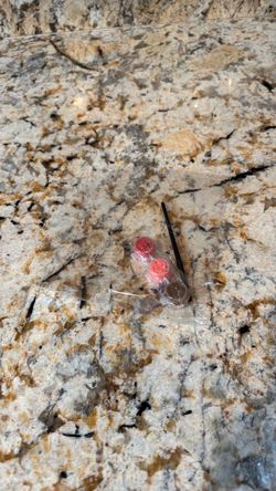 Tiny paint pack