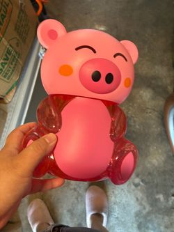 Pig piggy bank