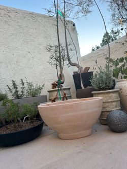 Gorgeous Designer Terracotta Pots