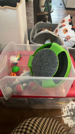 Cat Toys