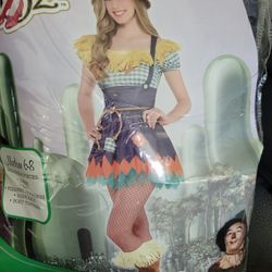 The Wizard of Oz Girls Costume