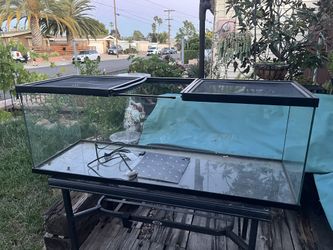 Terrarium For Sale $75 OBO