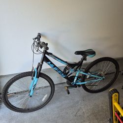 Puffy Girl Bike Very Good Condition  Just Needs Air In Tires