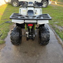 Quad 2025 Tao Tao   Raptor/200cc green