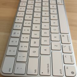Magic Keyboard (Lightning Port) with Touch ID for Mac models with Apple silicon - Silver/White