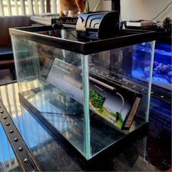 Fish tank 