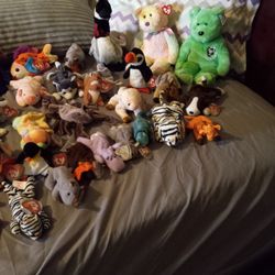 Beanie Baby's