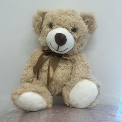 Plush Teddy Bear 