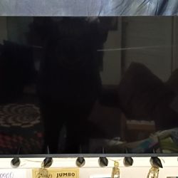 Flat Screen TV And Sound Bar