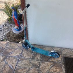 Folding Scooter 