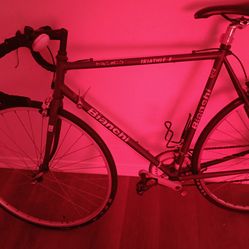 Vintage Bianchi  fremio