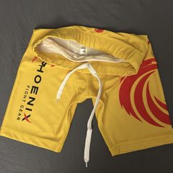MMA Training Shorts Phoenix Brand 