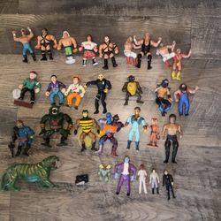 80s 90s Action Figures TMNT MOTU Wwf