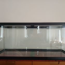 75 Gallon Aquarium