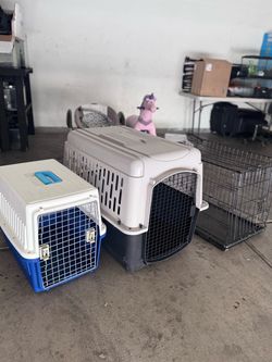 Dog Cages