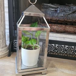 metal candlestick, natural plant