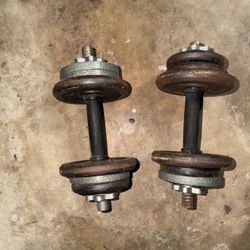 Dumbbell Pair