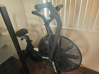 Rogue echo bike