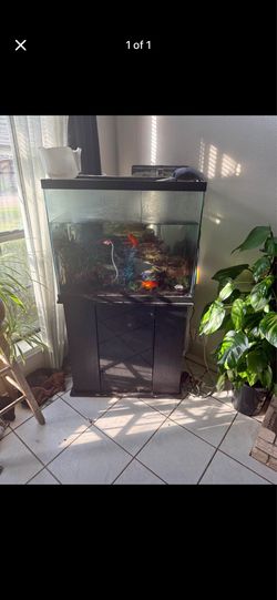 50 gallon fish tank