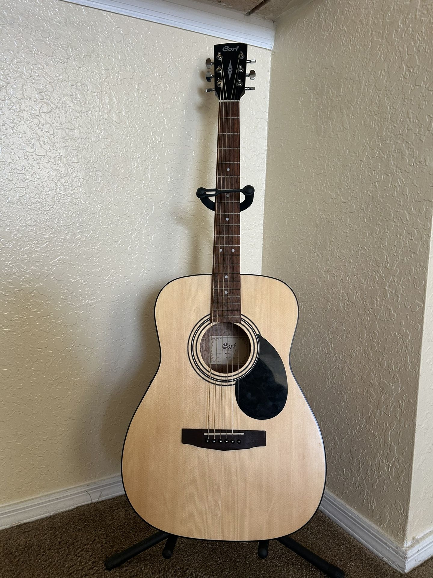 Acoustic Guitar