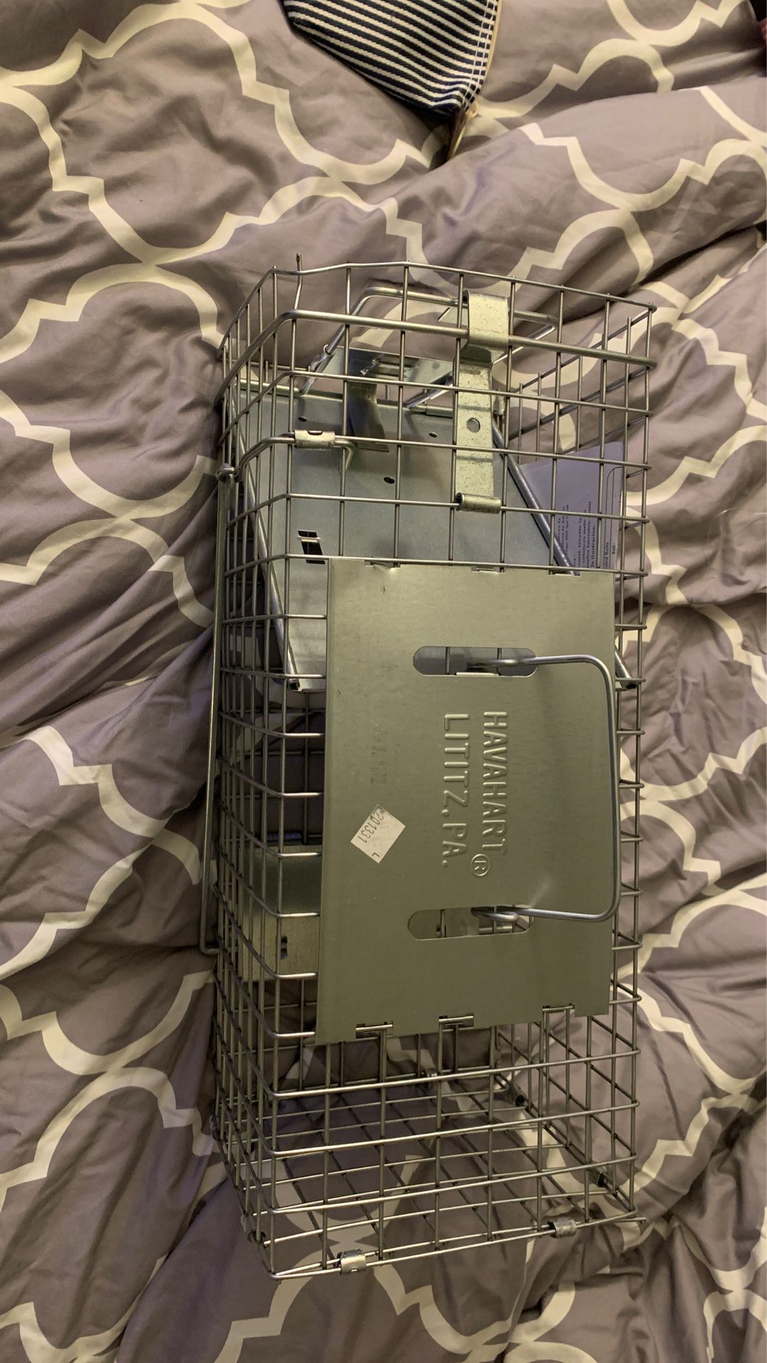 Small live trap
