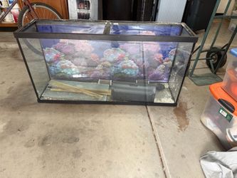 50 gallon fish tank w/ filter