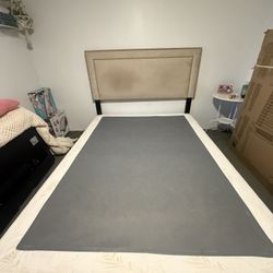 Queen Headboard And Box Spring 