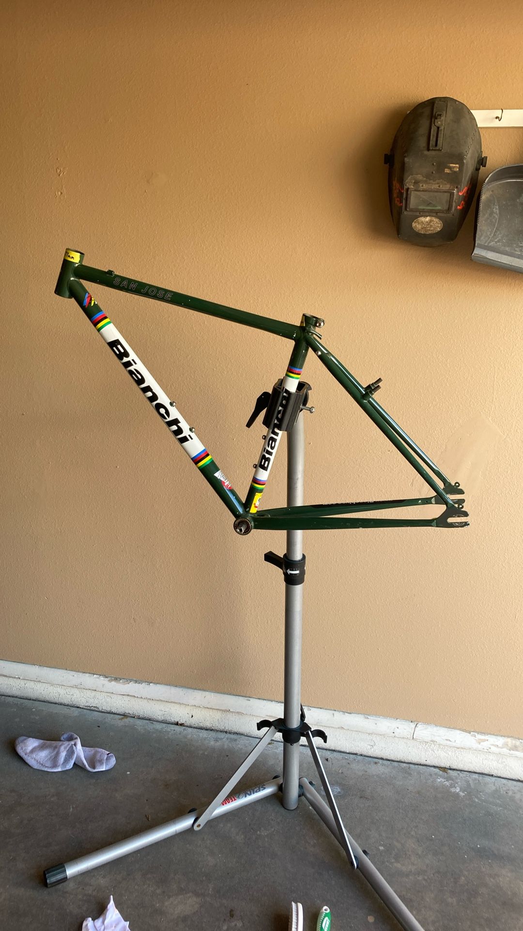 Single Speed Frame -Bianchi San Jose