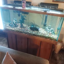 75 Gallon Fish Tank Stand And All Accessories 