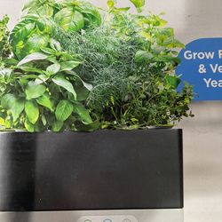 AeroGarden 