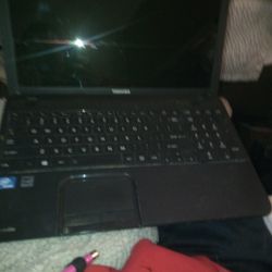 TOSHIBA Laptop 