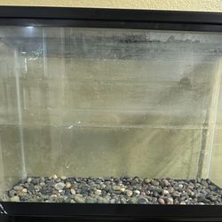 20 Gallon Tank 