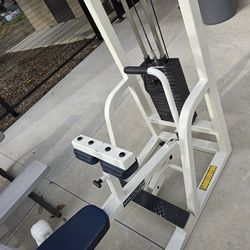 Maxicam Seated Calf Raise Commercial Gym Equipment Exercise Fitness Weight Machine