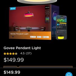 Govee Pendant Light