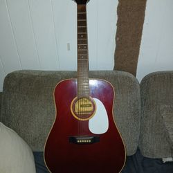 Trump Acoustic Guitar