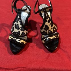 Size 6.5