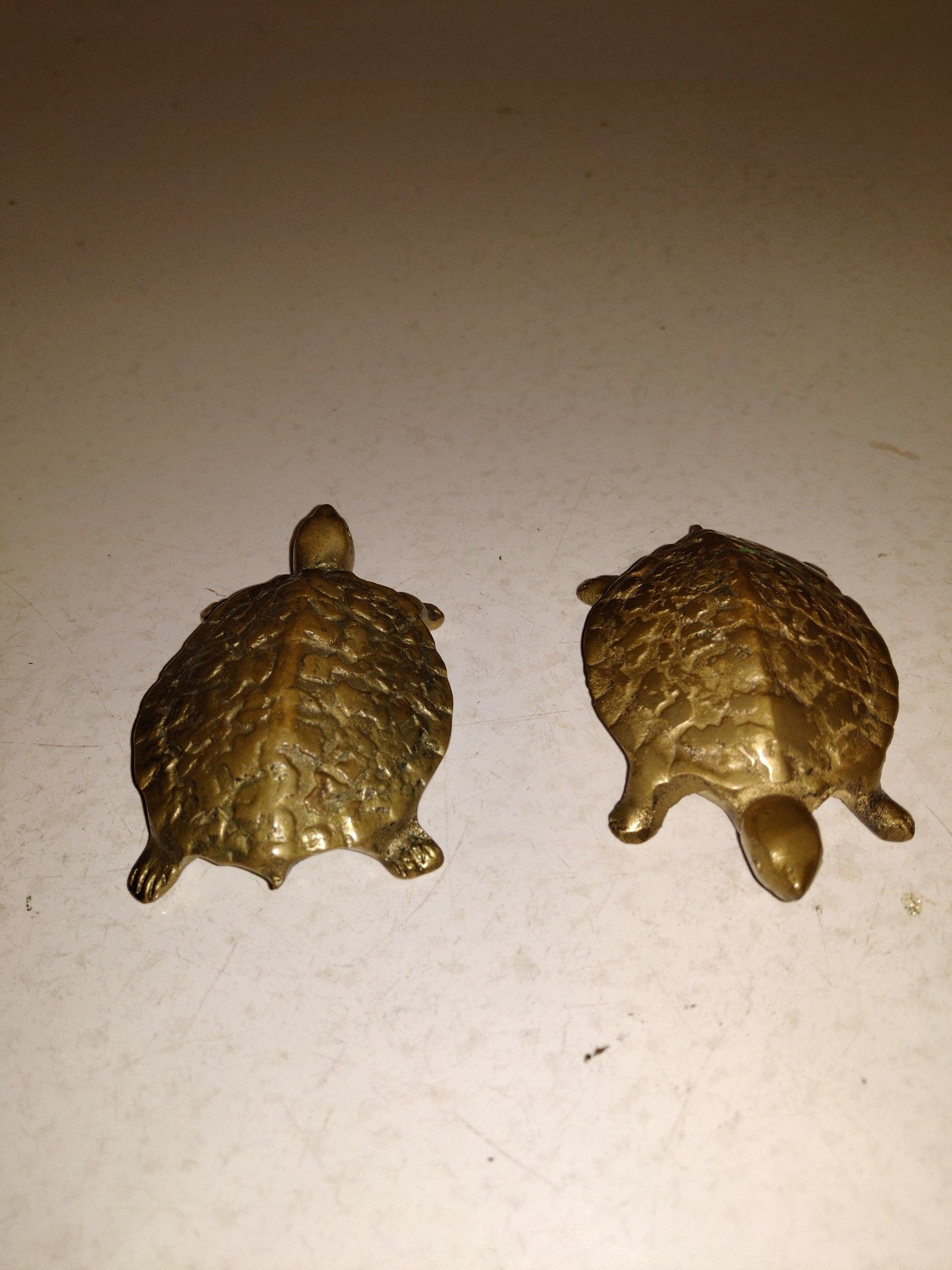 Vintage Heavy Brass turtles with genitalia male female cool