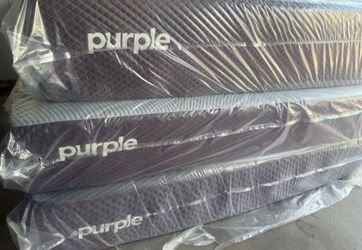 New queen purple restore premier