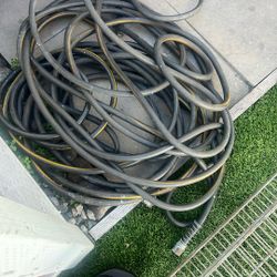 Hoses